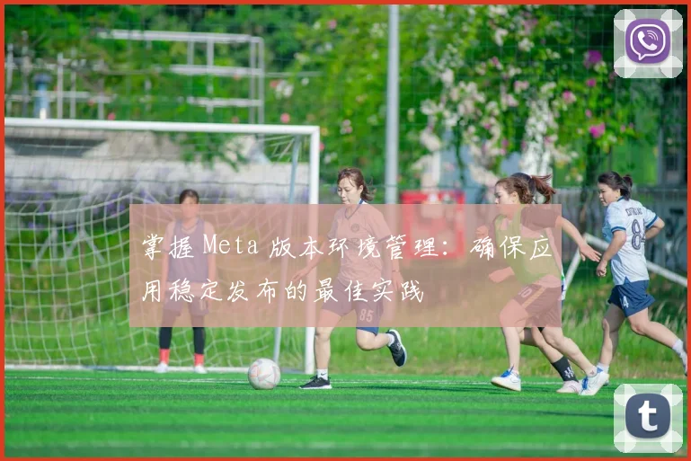 掌握 Meta 版本环境管理：确保应用稳定发布的最佳实践