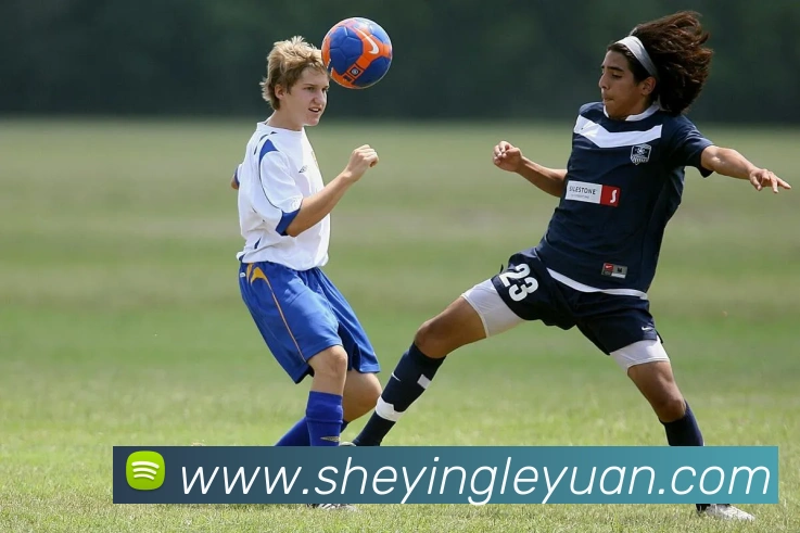 体育直播服务